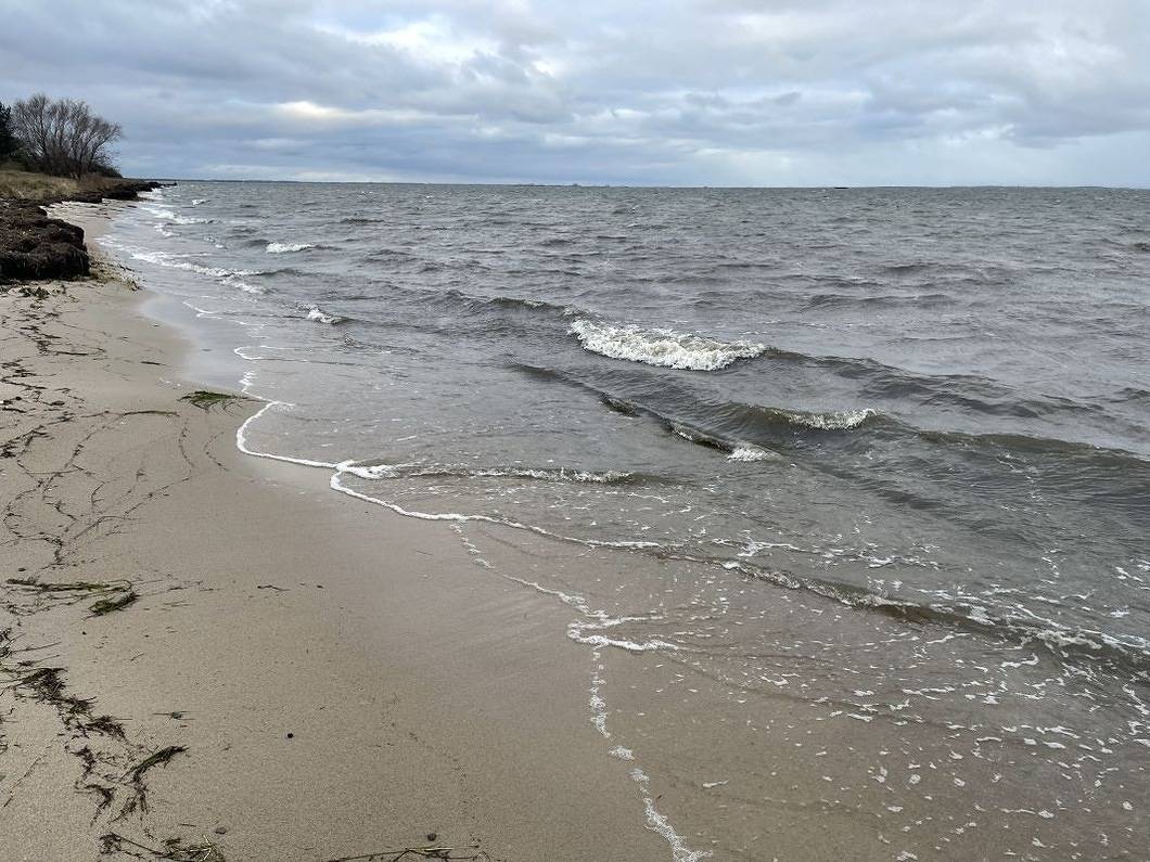 Ganze Ferienwohnung, Strandperle 1 in Loissin, Vorpommern