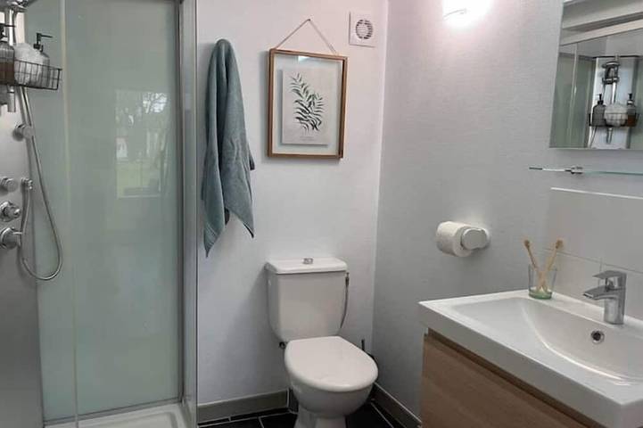 Gîte pour 2 personnes, avec terrasse et jardin à Port-d'Envaux - 4