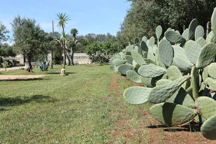 Casa Con Jardín Y Piscina De Uso Exclusivo En Salento, Otranto, Lecce in Corigliano d'Otranto, Provincia de Lecce