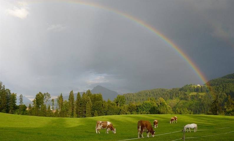Hütte für 3 Personen, mit Sauna und Garten, mit Haustier in den Kitzbüheler Alpen - 3
