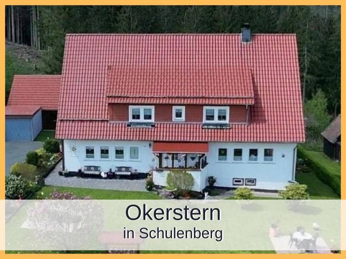 Ferienwohnung für 2 Personen, mit Balkon und Terrasse sowie Garten und Ausblick in Schulenberg im Oberharz