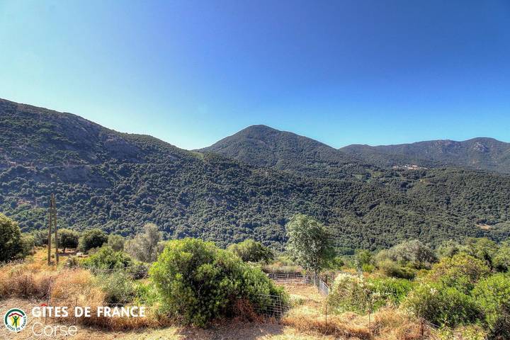 Gîte für 7 Personen, mit Garten und Sauna sowie Terrasse auf Korsika - 4