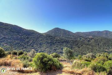 Cottage for 7 People in Balogna, Corse-du-Sud, Photo 3