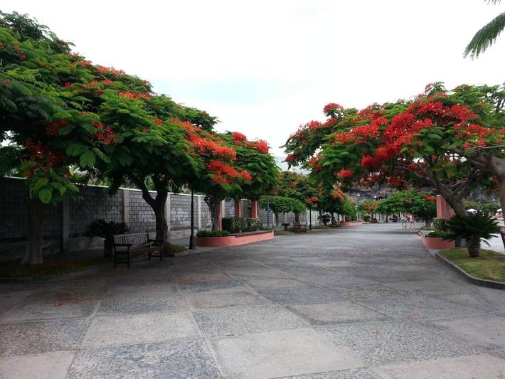 Gîte pour 3 personnes, avec vue et balcon, adapté aux familles dans Playa de San Juan - 2