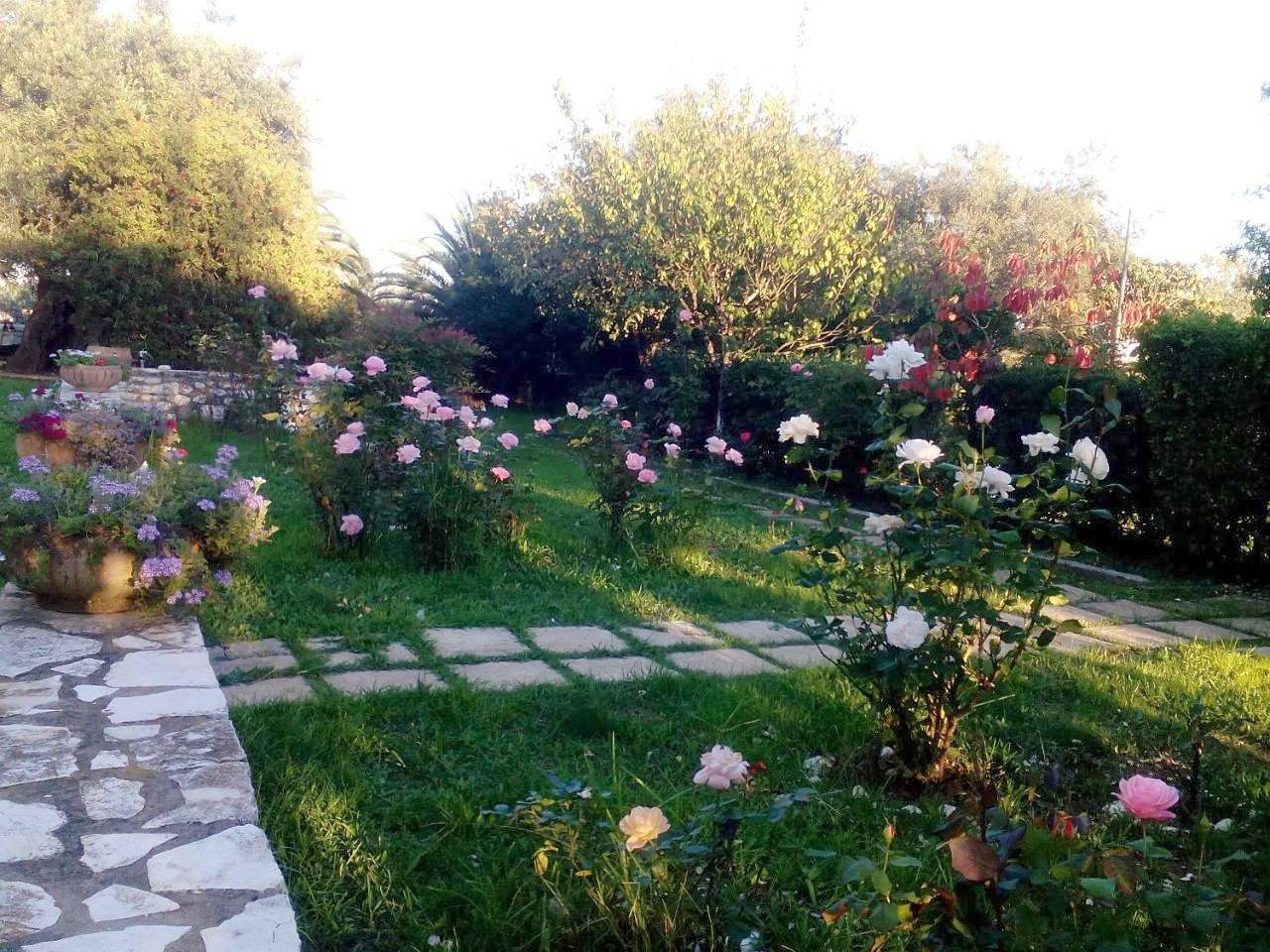 Ολόκληρο το διαμέρισμα, Villa Rose Garden in Άγιο Ιωάννη (Κέρκυρα), Κέρκυρα