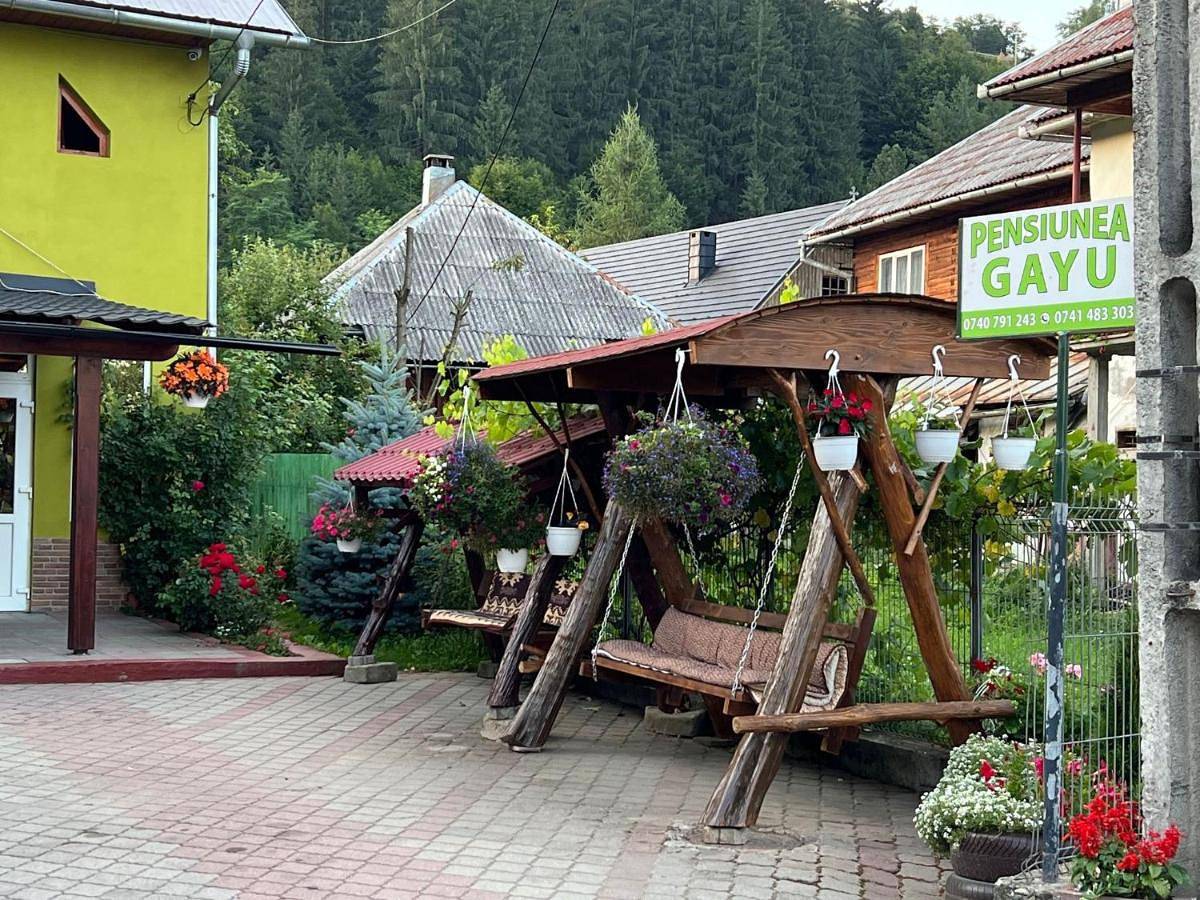 Pensiunea Gaiu in Albac