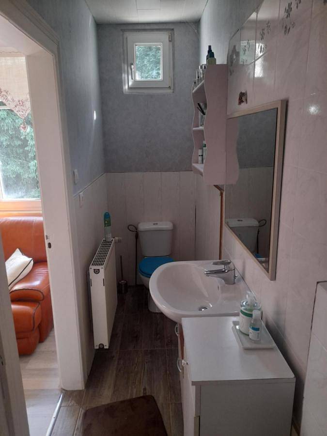 Gîte pour 10 personnes, avec terrasse ainsi que vue et jardin, animaux acceptés à Dambach (homonymie) - 4