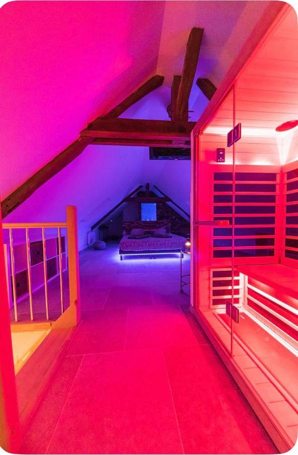 Location de vacances pour 3 personnes, avec sauna et jacuzzi, animaux acceptés à Saint-Cyr-sur-Loire - 2
