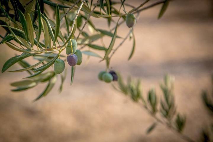 Finca für 2 Personen, mit Pool und Ausblick sowie Garten in Spanien - 3