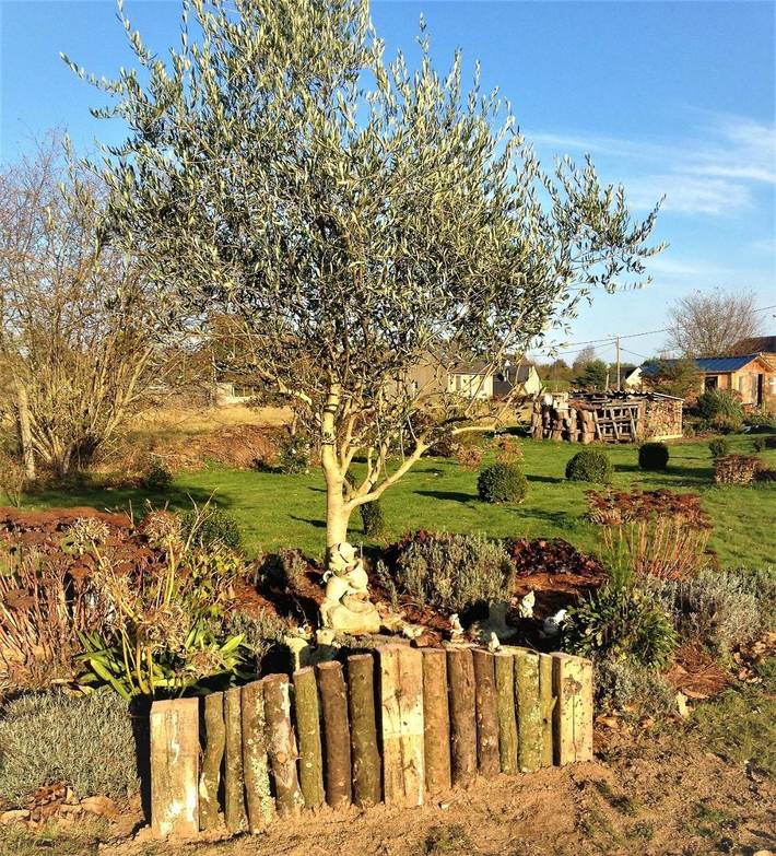 Location de vacances pour 4 personnes, avec vue et jardin, animaux acceptés à Pludual - 2