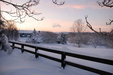 Bed And Breakfast for 2 Guests in Northern Virginia, Virginia, Picture 4