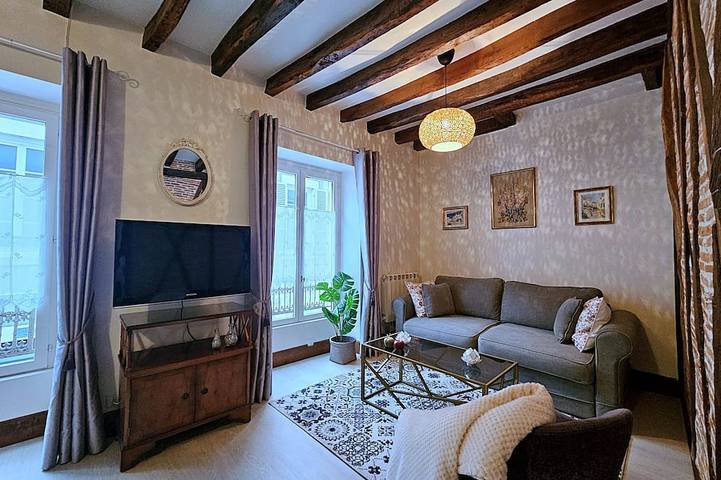 Apartamento entero, L'Odyssée - Charming 1-Bedroom Apt - Sleeps 4 - Historic Center - Pet-Friendly in Orleans, Valle del Loira