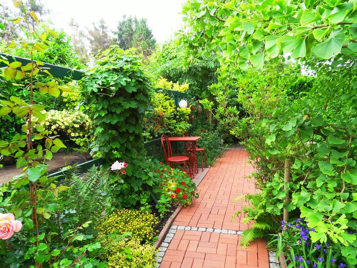 Ferienhaus für 5 Personen, mit Garten, kinderfreundlich in Elbe-Weser - 2