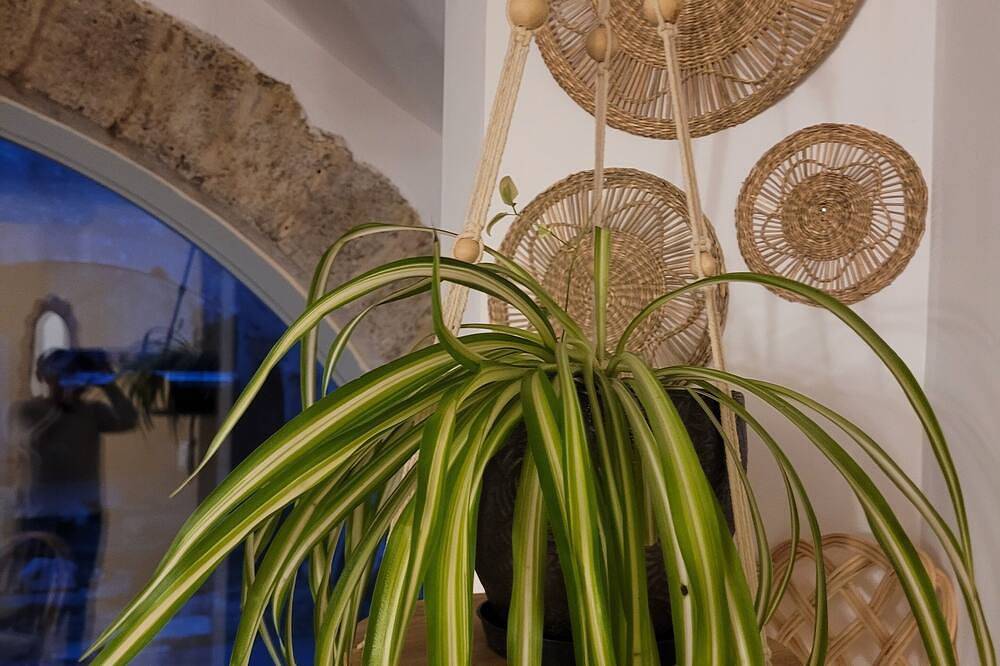 Magnifique Appartement Duplex : balnéo, spa, piscine in Congénies, Côte méditerranéenne (France)