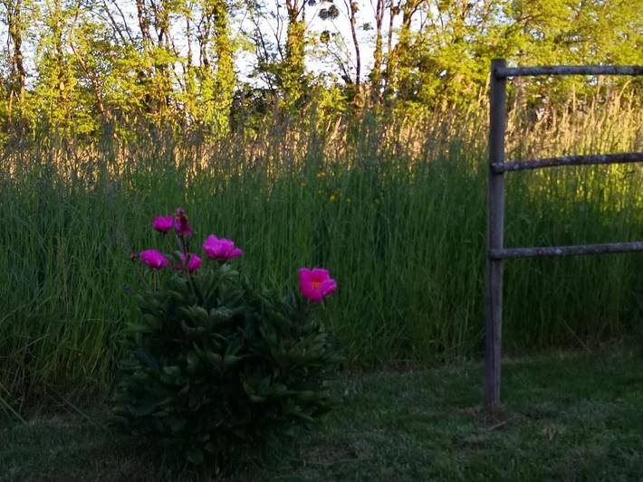 Location de vacances pour 4 personnes, avec terrasse ainsi que jardin et vue, adapté aux familles à Bruailles - 4