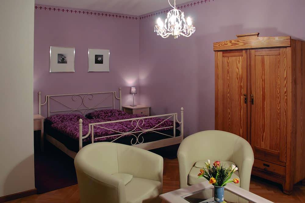Ganze Wohnung, Ein-Raum-Appartement in Dresden-Neustadt, Dresden