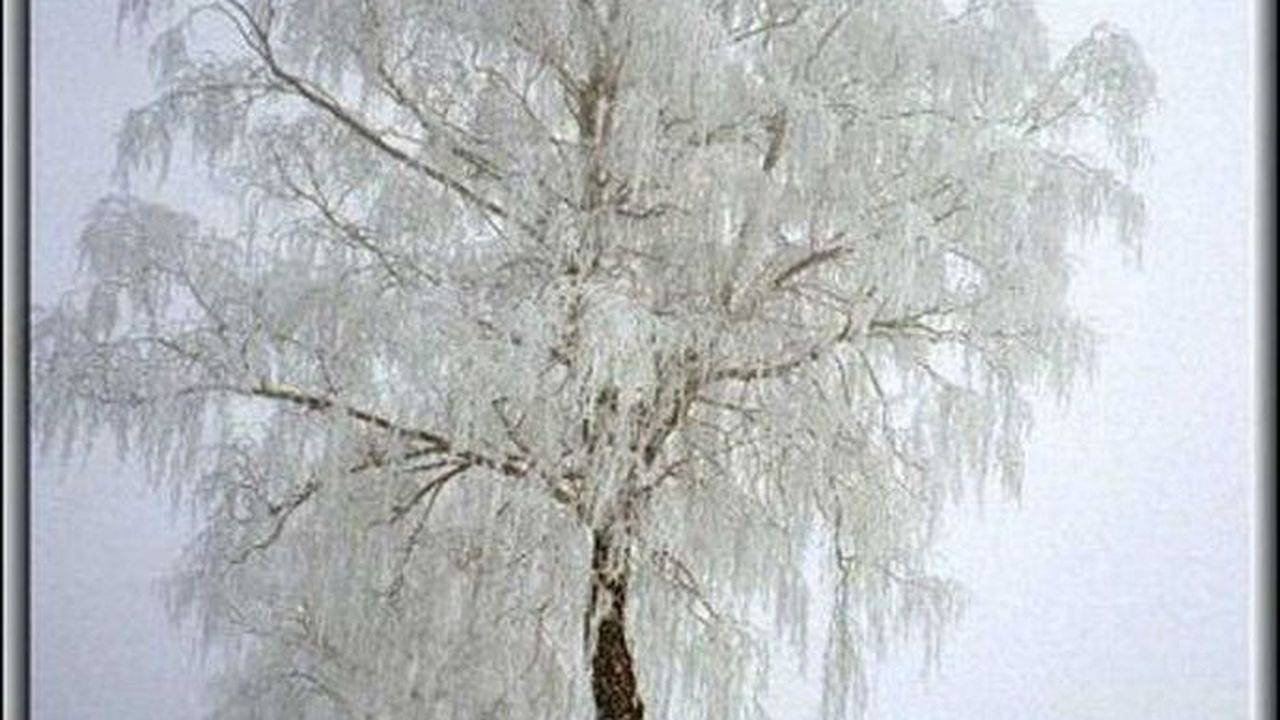 Ferienwohnung in Usedom ab 78€ pro Nacht