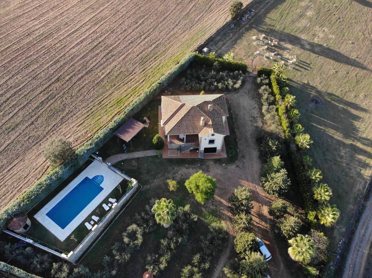 Four-Bedroom Holiday Home in Olivenza, Provincia de Badajoz