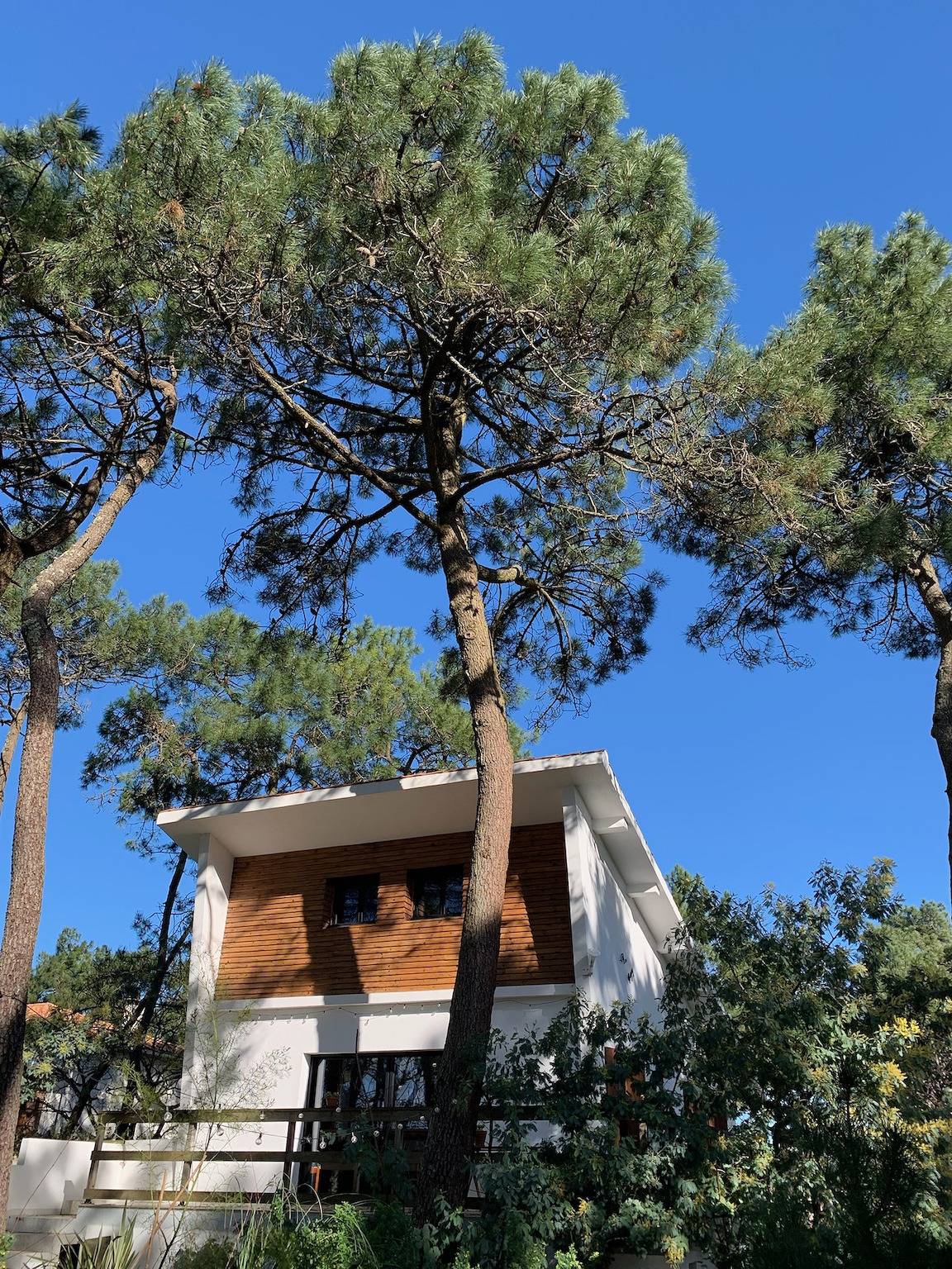 Domaine avec piscine sous les pins in La Tranche-sur-Mer, Vendée