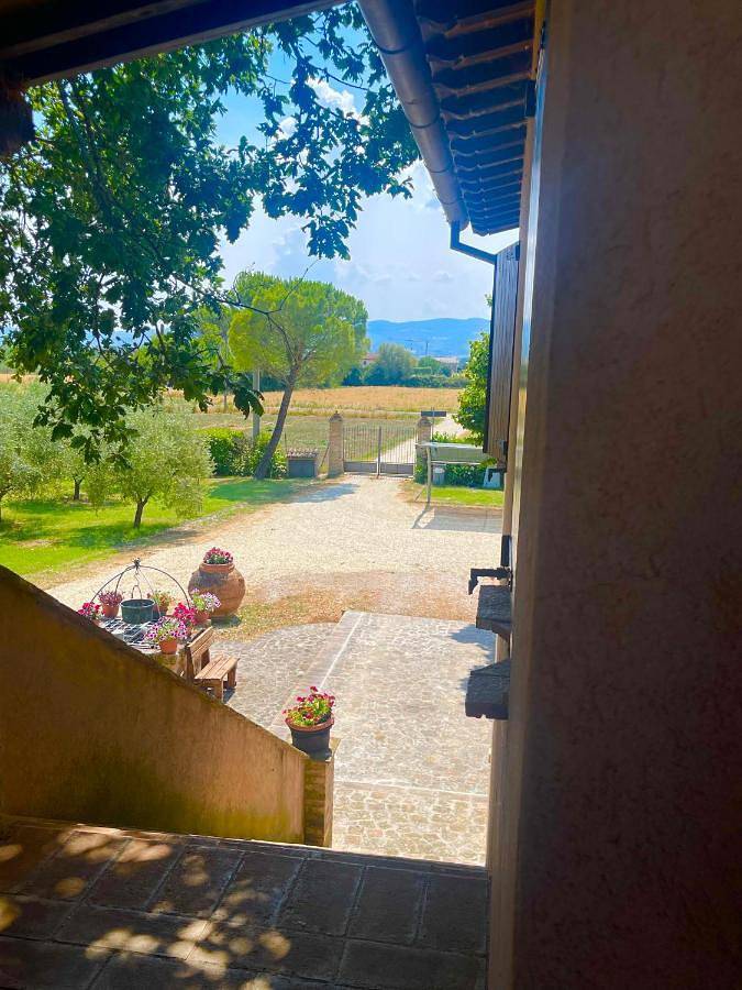 Maison d’hôte pour 3 personnes, avec vue ainsi que jardin et piscine à Spello - 4