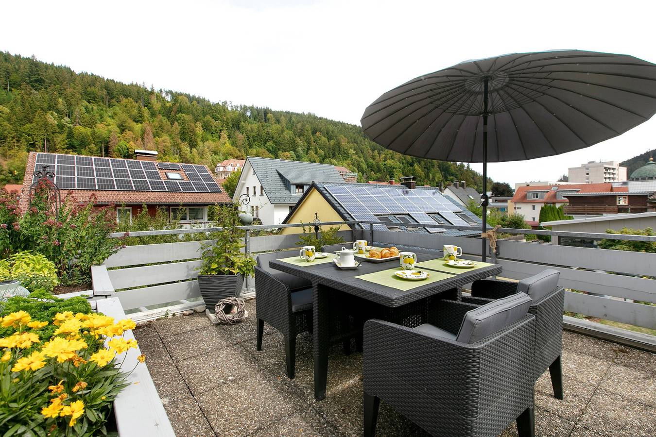Entire apartment, Apartment in the Cathedral City, Haus Barbara 1st Floor with Mountain View, Terrace & Wi-Fi in St. Blasien, Southern Black Forest