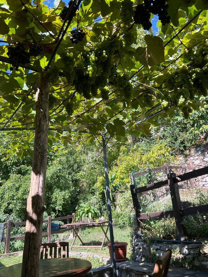 Gîte pour 4 personnes, avec jardin et vue, animaux acceptés à Garessio