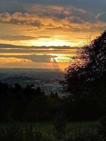 Ferienhaus für 6 Personen, mit Balkon und Balkon/Terrasse, kinderfreundlich in Passauer Land - 4