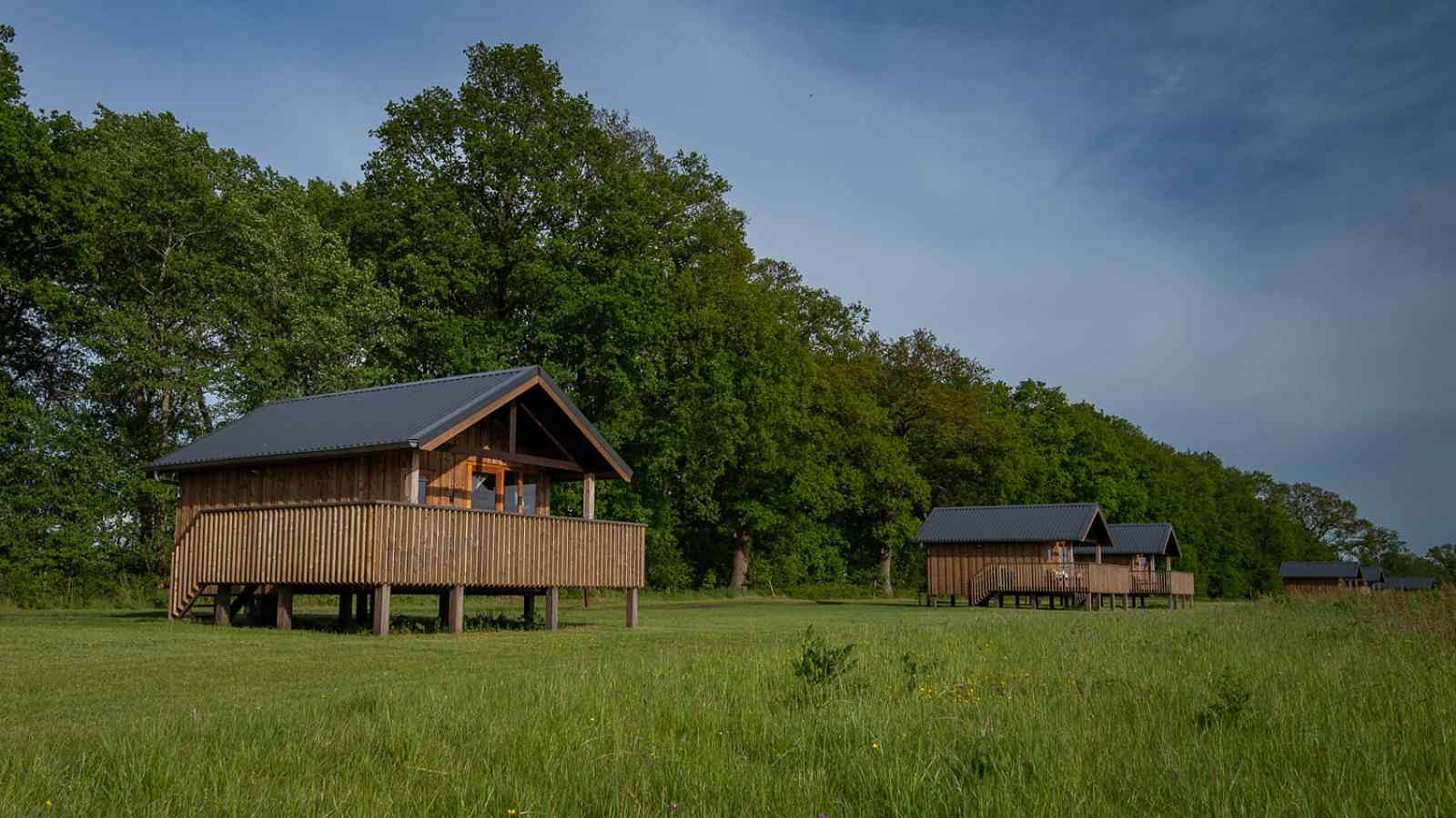 Gemütliche Gruppenunterkunft für 16 Personen in der Nähe von Ruinerwold | Drenthe in Ruinerwold, Drenthe