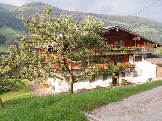 Appartement "Wiedersbergerhorn" in Alpbach, Kaisergebirge