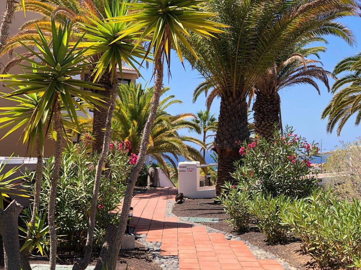 Tropical garden, sunshine, heated pool in Las Adelfas, San Miguel de Abona