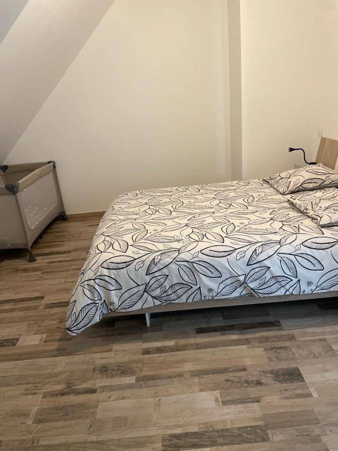 Location de vacances pour 8 personnes, avec jardin et terrasse à Ploeren - 4