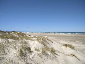 Ferieudlejning til 12 Personer i Vesterhavet, Billede 2