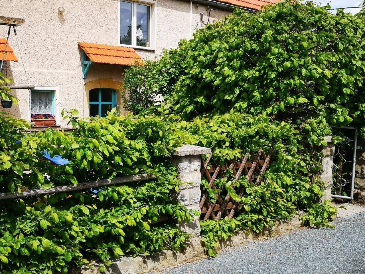 Ganze Wohnung, Landurlauberzgebirge in Glashütte, Mittlere Erzgebirge