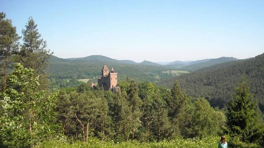 Hütte für 4 Personen, mit Terrasse und Garten im Pfälzer Wald - 3