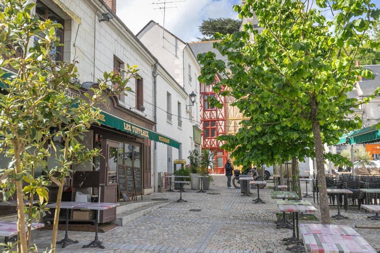 Le Sully - Maison coeur de ville in Montrichard Val de Cher, Région de Blois