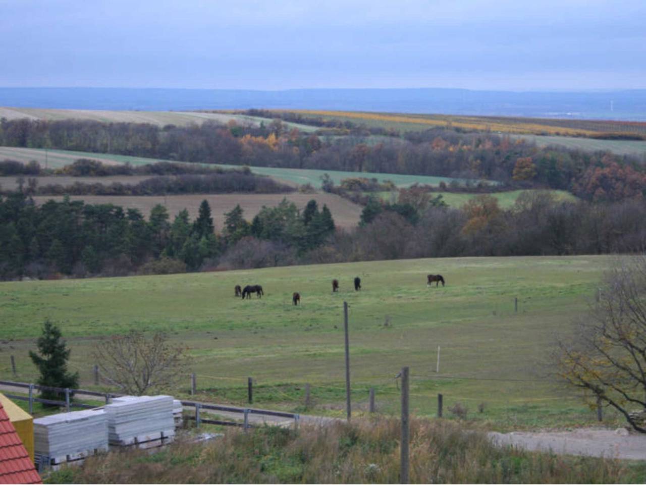 Ganze Ferienwohnung, Ferienwohnung Im Alten Gut - Ferienwohnung Im Alten Gut in Erfurt, Thüringer Kernland