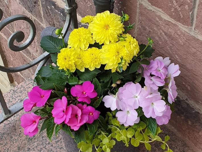 Ferienwohnung, mit Garten in Bad Kissingen - 3
