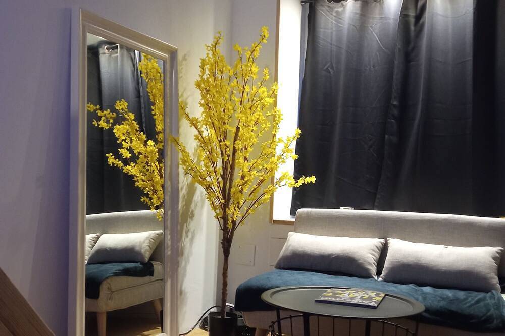 Appartement entier, Charmant studio, au coeur d'une rue commerçante, à 2 pas de Naval Group in Équeurdreville-Hainneville, Cherbourg-en-Cotentin