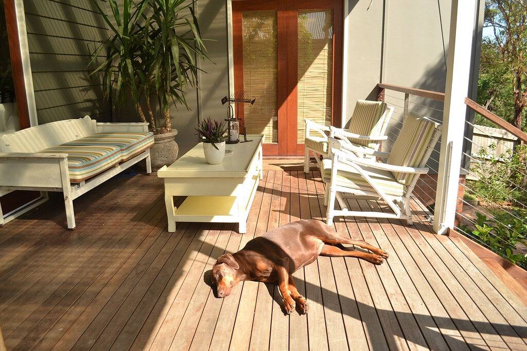 Salt Cottage - Stilvoller, tierfreundlicher Komfort am Strand in Illawarra, New South Wales