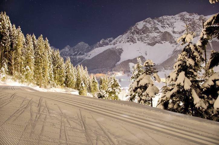 Maison d’hôte pour 2 personnes, avec sauna ainsi que jardin et vue à Ramsau am Dachstein - 2