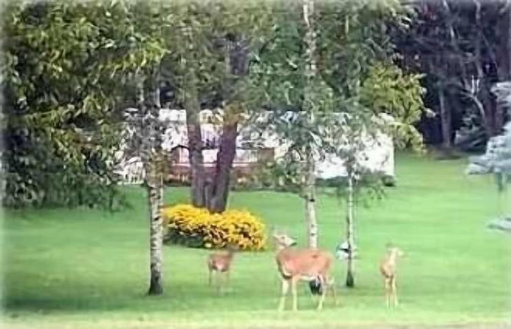 Vacation house for 5 people, with yard - 1