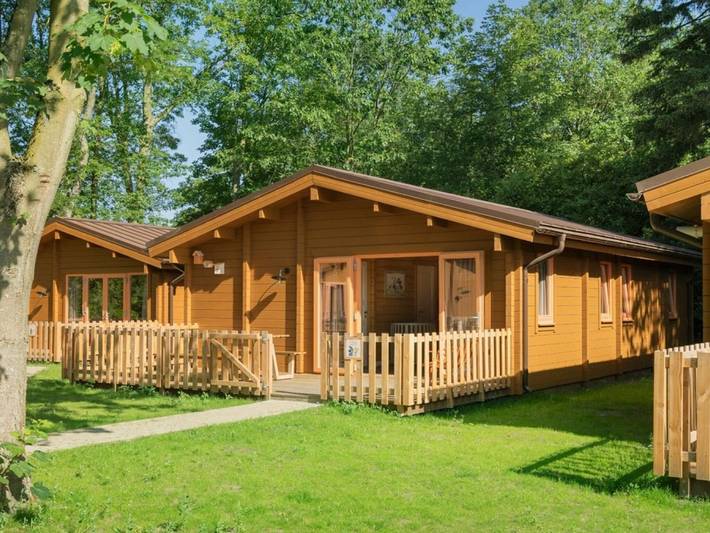 Camping voor 6 personen, met Terras in Noord-Brabant