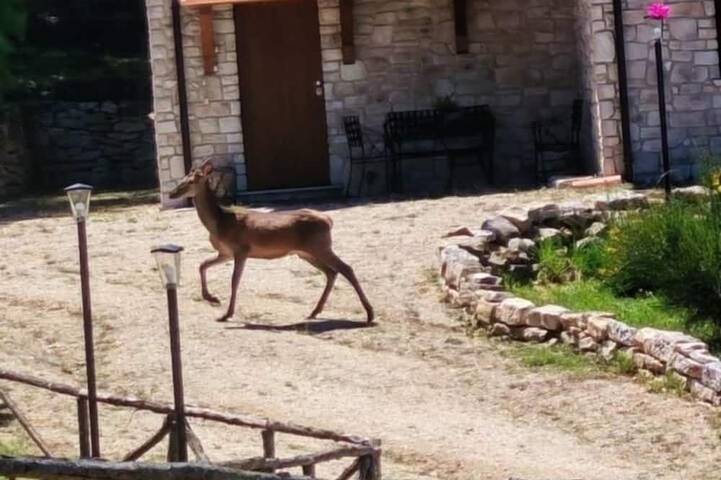 Chalet para 9 personas, con jardín y terraza, Se admiten mascotas - 1
