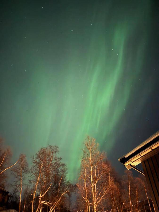 Gîte pour 4 personnes, avec vue ainsi que sauna et jardin à Geilo - 3