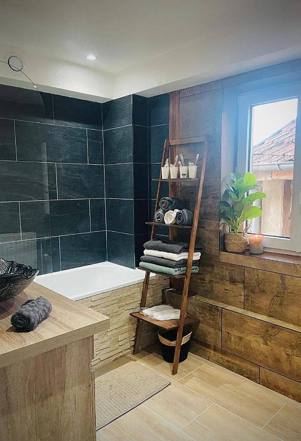 Gîte pour 4 personnes, avec vue, animaux acceptés à Erstein - 4