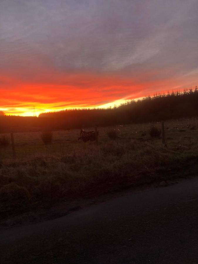 Superior King Room in Aberdeenshire