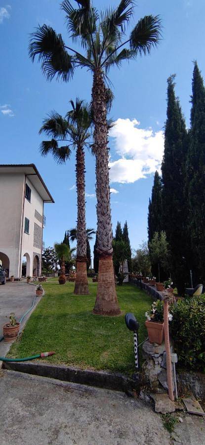 Gîte pour 7 personnes, avec terrasse et jardin à Santa Marina