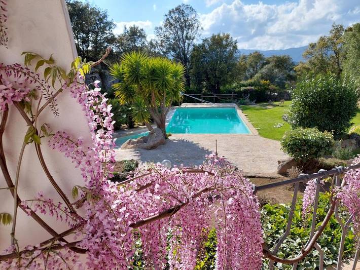 Location de vacances pour 8 personnes, avec vue ainsi que jardin et piscine à Sant'Antonio di Gallura
