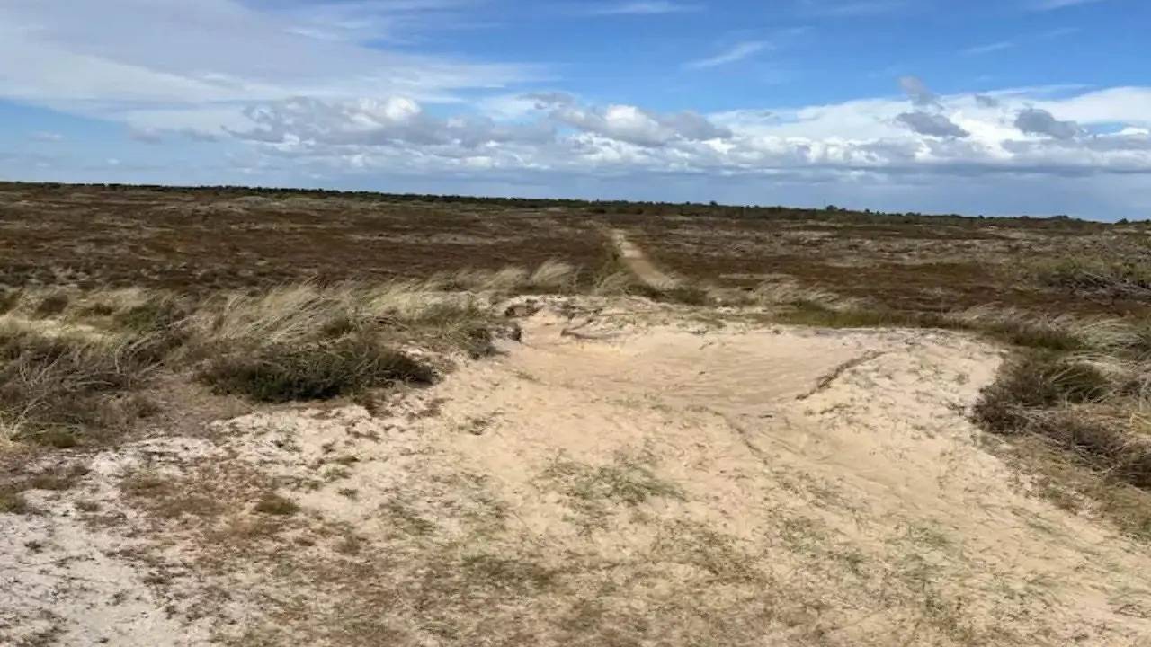 Ferienhaus für 10 Personen (148 m²) in Rømø in Sønderstrand, Havneby