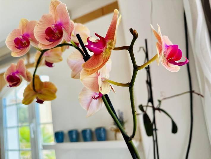 Casa rural para 4 personas, con terraza y vistas además de vistas al lago y piscina en Pájara - 4